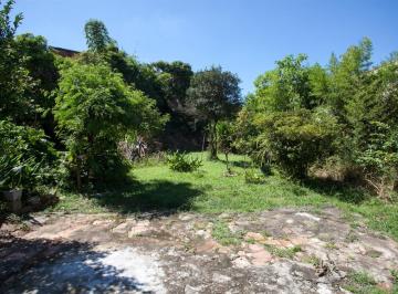 398949_idIbq3sr19_39894969f00a318ebbd.jpg · Imoveis - no Vila Renato (Zona Norte)
