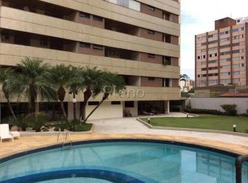 imagem · Apartamento à venda no Cambuí, 4 quartos - Campinas.