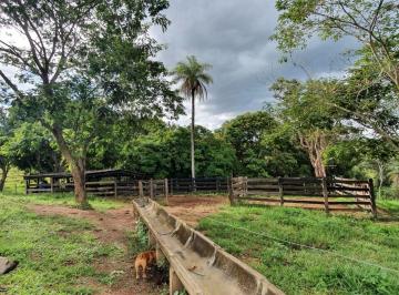 Rural de 4 quartos, Luziânia · FAZENDA NA BEIRA DA BR 040 A 05 KM DA ENTRADA OFICIAL DE LUZIÂNIA 6198150-8787 zap
