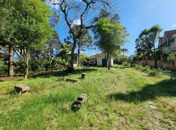 Terreno · 4452m² · Terreno para Venda - 4.452m Bairro Jardim Isabel