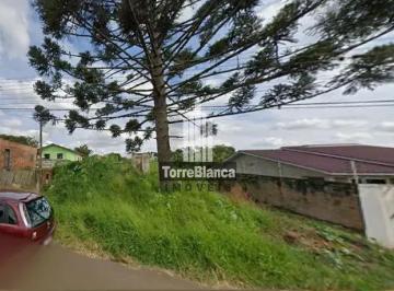 2_cleanup-21777466685381.jpg · Terreno à venda na Vila Marina, Uvaranas, Ponta Grossa, PR