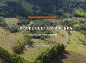 Terreno · 160000m² · Terra de Cultura: 16 Hectares com Pasto Formado e Eucalipto em Passa Tempo/MG.