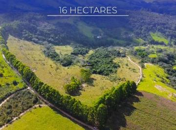 Terreno · 160000m² · Terra de Cultura: 16 Hectares com Pasto Formado e Eucalipto em Passa Tempo/MG.