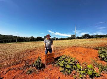 1376fa29855fb00e78808cbc3214e32c.jpeg · Lote / Terreno à venda em Nepomuceno, no bairro Jardim Natália