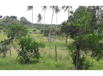 Comercial · 4000m² · 4 Quartos · 30 Vagas · CHACARA Á VENDA COM 40 HECTARES EM MACAIBA. ÓTIMA LOCALIZAÇÂO. EXCELENTE PARA INVESTIMENTO
