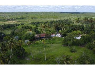 Comercial · 40000m² · 4 Quartos · 30 Vagas · FAZENDA Á VENDA COM 40 HECTARES EM MACAIBA. EXCELENTE PARA INVESTIMENTO - VALOR DO mtrs R$7,50
