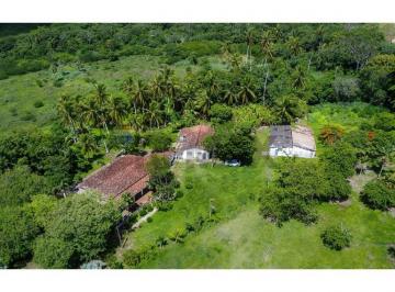Comercial · 40000m² · 4 Quartos · 30 Vagas · FAZENDA Á VENDA COM 40 HECTARES EM MACAIBA. EXCELENTE PARA INVESTIMENTO - VALOR DO mtrs R$7,50