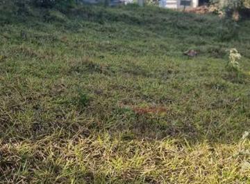 Imagem 1 · Terreno