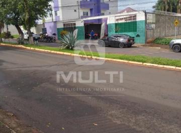 Imagem 1 · Terreno