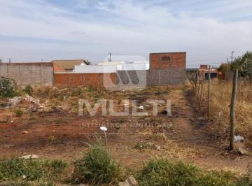 Imagem 1 · Terreno