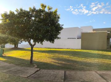 Imagem 1 · Terreno