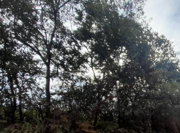 Imagem 1 · Terreno