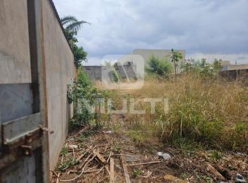 Imagem 1 · Terreno