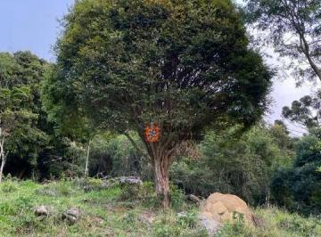 Imagem 1 · Terreno