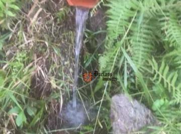 Imagem 1 · Terreno