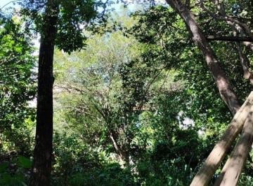 Imagem 1 · Terreno
