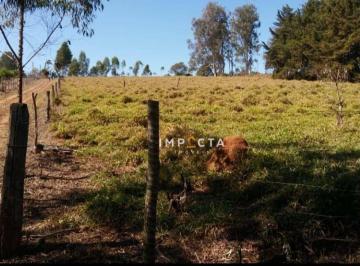 Imagem 1 · Terreno
