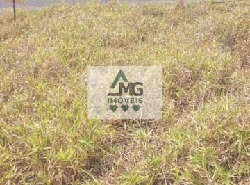 Imagem 1 · Terreno