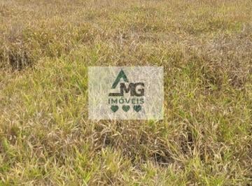 Imagem 1 · Terreno para venda em Odilon Rezende, Três Corações