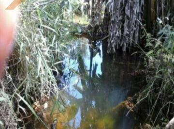 Imagem 1 · Terreno