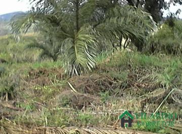 Imagem 1 · Terreno