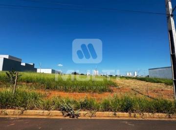 Imagem 1 · Terreno