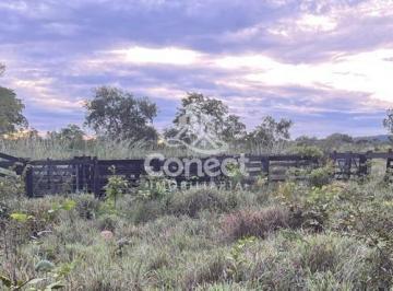 Imagem 1 · Fazenda