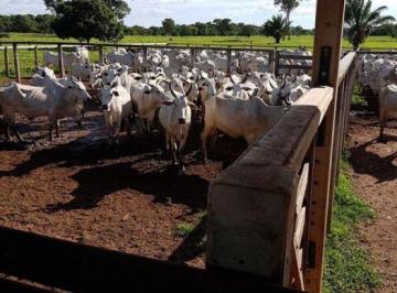 Imagem 1 · Fazenda