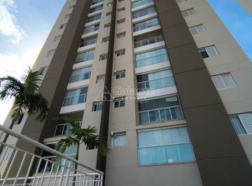 0 · apartamento para aluguel em Taquaral