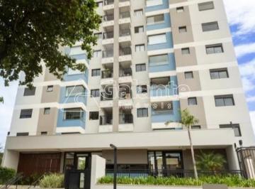 0 · apartamento para aluguel em Jardim Planalto