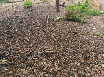 Imagem 1 · Terreno