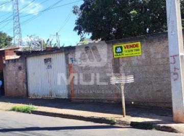 Imagem 1 · Terreno