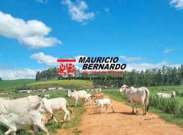 Imagem 1 · Terreno