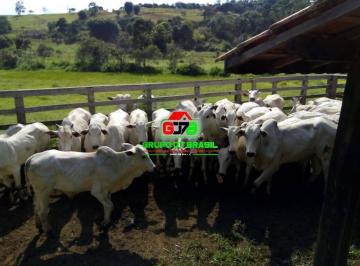 Imagem 1 · Terreno