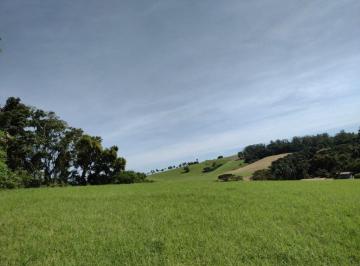 Rural · 35000m² · Sítio em Área Rural de Santo Antônio de Posse, Santo Antônio de Posse/SP de 0m² à venda por R$ 1.050