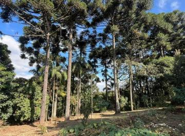 Rural · 140m² · 6 Quartos · Chácara em São Miguel, Curitiba/PR de 140m² 6 quartos à venda por R$ 1.900.000,00