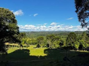 Rural · 20000m² · Chácara em Ana Rech, Caxias do Sul/RS de 20000m² à venda por R$ 1.800.000,00