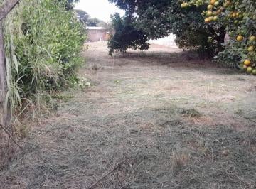 Rural · 500m² · 
                                Chácara Exclusiva com 500m de Área Construída no Residencial Vista 