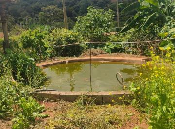 Rural , Congonhas · Projeto Sassafrás - Propriedade com 24 hectares