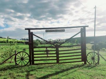 IMG-20260429-WA0045.jpg · Fazenda / Sítio / Chácara, 2 dormitórios, 160000 m², em Passo Fundo