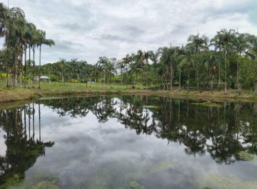 Rural de 2 quartos, Sete Barras · SÍTIO PRODUTIVO EM SETE BARRAS,SP COD: 6064 F:(11) 97302-9229 CESAR