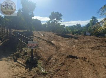 Foto 01 · Lote rural 732m² em Jaboticaba ? esquina, 7 km da Praia do Morro, com infraestrutura