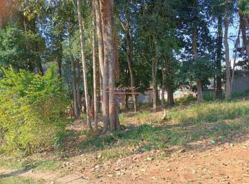 terreno-mogi-bertioga-mogi-das-cruzes-1101644450.jpeg · Chácara/Terreno Comercial de 2.000m² na Rodovia Mogi-Bertioga – Oportunidade Única!