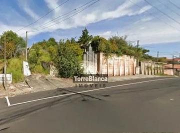 1_cleanup-21777467096431.jpg · Imoveis - em Uvaranas