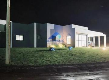 xpoagbhzs6fg1768621631344.jpg · Imoveis - no Conjunto Habitacional Camargo