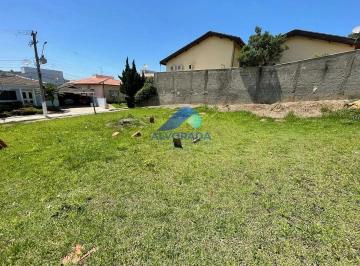 1jybk79xkrtm1768615043699.jpg · Imoveis - na Vila Zezé