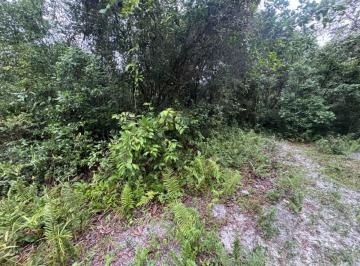 Terreno , Itanhaém · Terreno com escritura em Itanhaém - R$ 35.000,00.