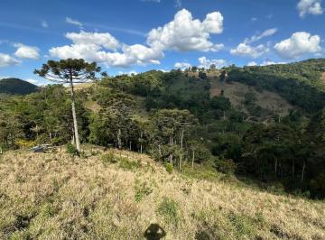 Terreno en Venda de 1 quarto Centro · Área de 50.000 m² em Camanducaia, Minas Gerais, com 2 nascentes, bacia d'água.