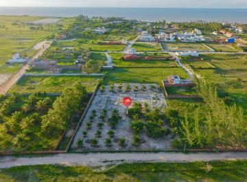Terreno , Cruz · Terreno de 4.800m² Plano e Estratégico, Próximo ao Mar e ao Parque Nacional de Jericoacoara