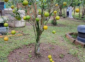 Rural de 4 quartos, Embu-Guaçu · Chacara em Embu Guaçu